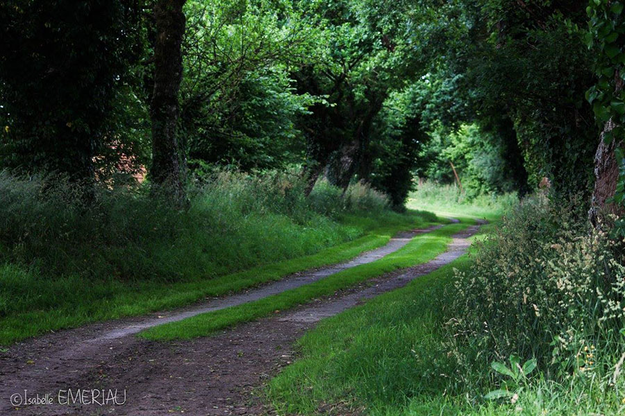 Le Domaine des Assis en Mayenne (53)