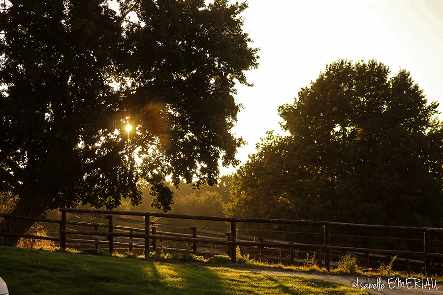 Le Domaine des Assis en Mayenne (53)