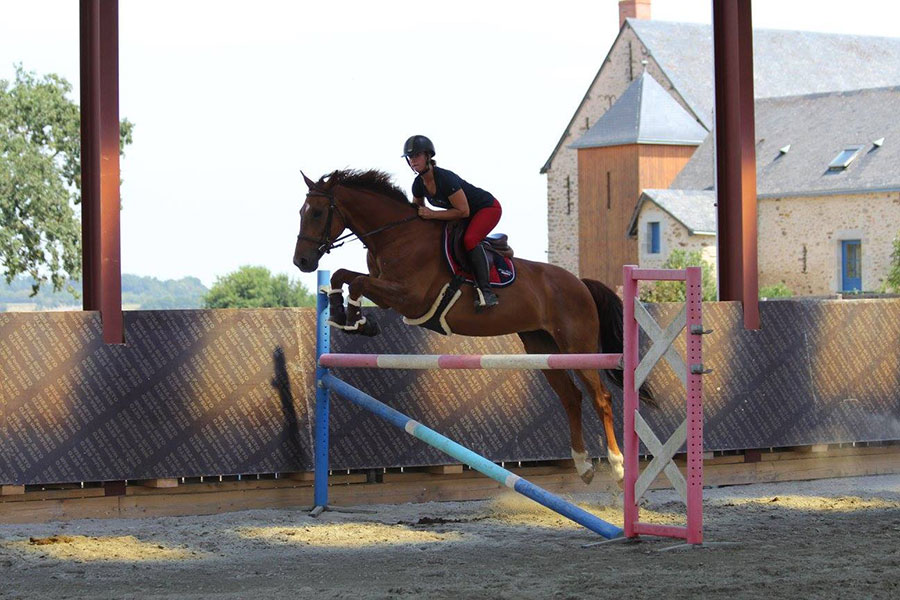 Pensions chevaux en Mayenne (53)