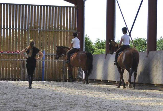 Pension chevaux