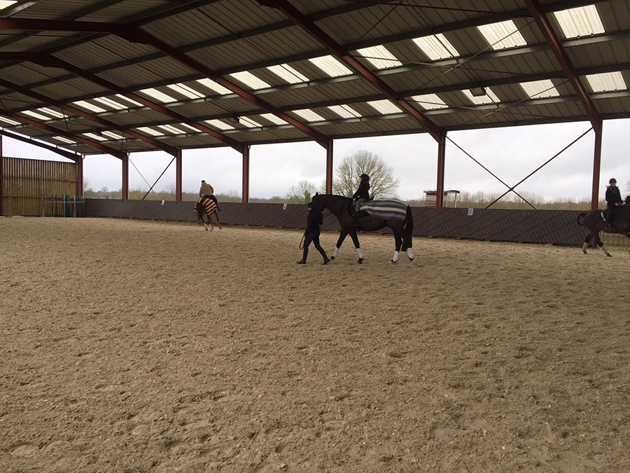 Pensions chevaux en Mayenne (53)